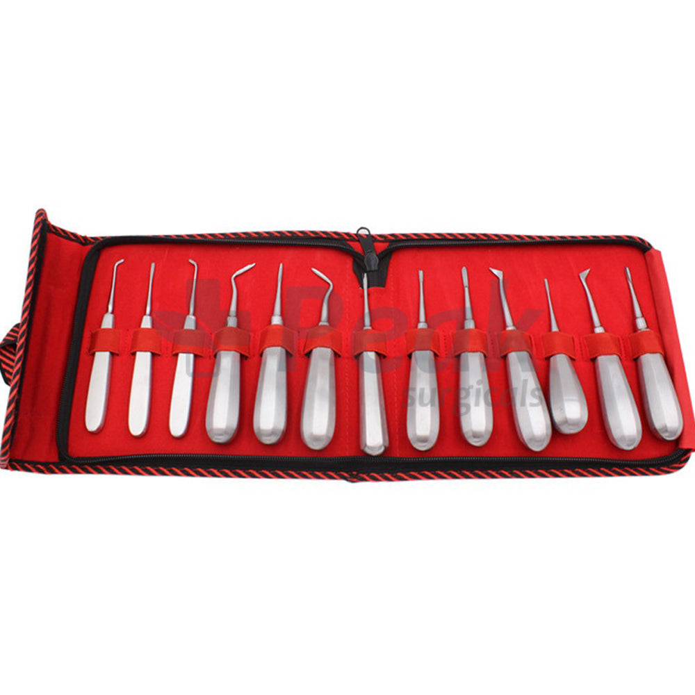 Dental Tooth Elevator Set Hoofdafbeelding