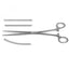 Doyen Intestinal Forceps Straight