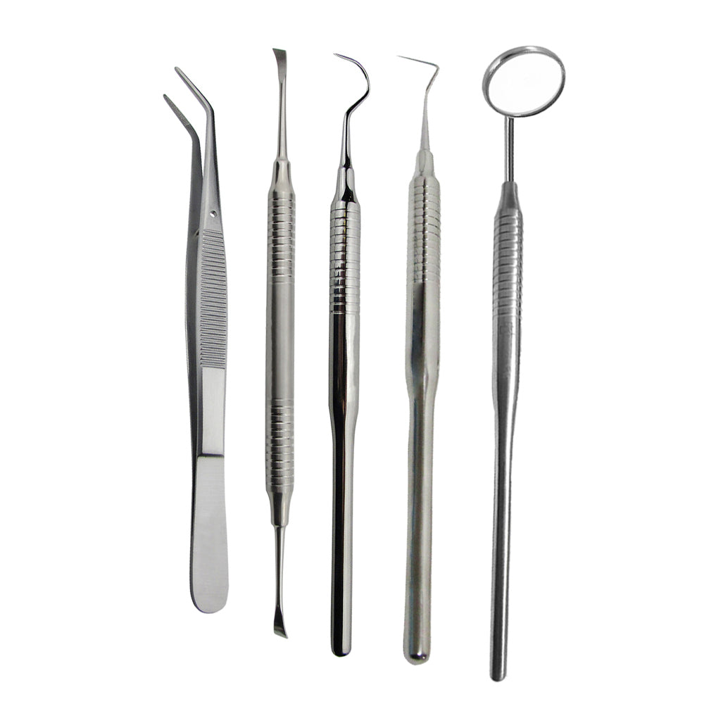 Dental Examination Kit