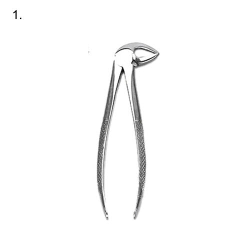 Extracting Forceps 10 Pcs Set