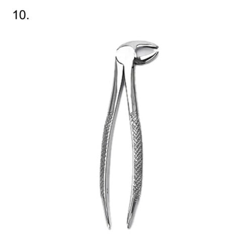 Extracting Forceps 10 Pcs Set