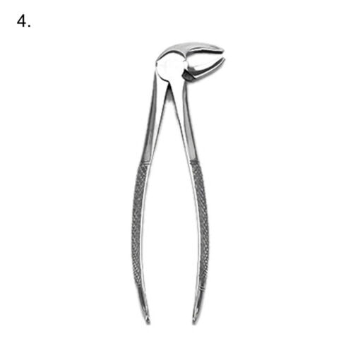 Extracting Forceps 10 Pcs Set