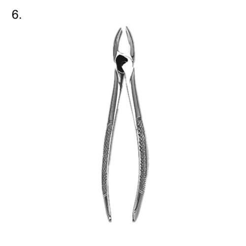 Extracting Forceps 10 Pcs Set