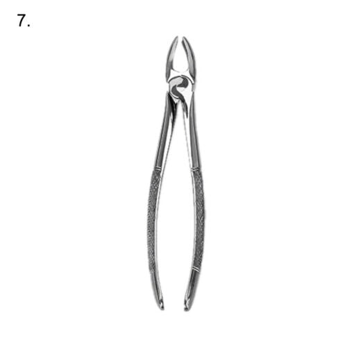 Extracting Forceps 10 Pcs Set