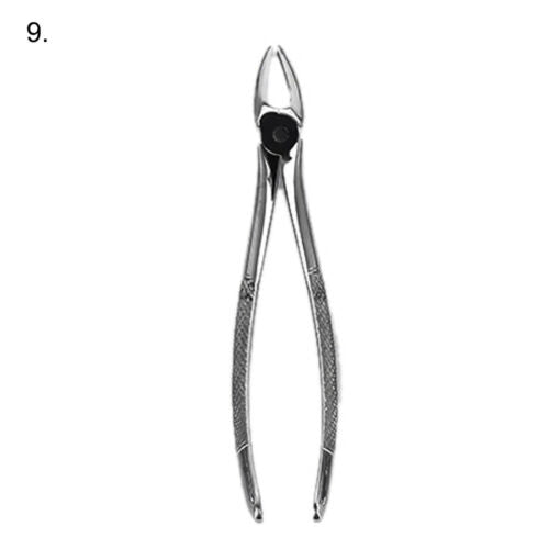 Extracting Forceps 10 Pcs Set