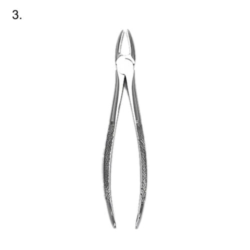 Fanalana Forceps 10Pcs Set