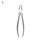 Extracting Forceps 10Pcs Set