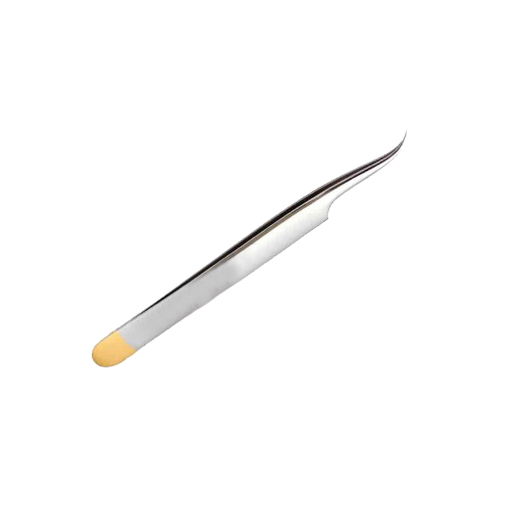 Extracting Forceps Curved