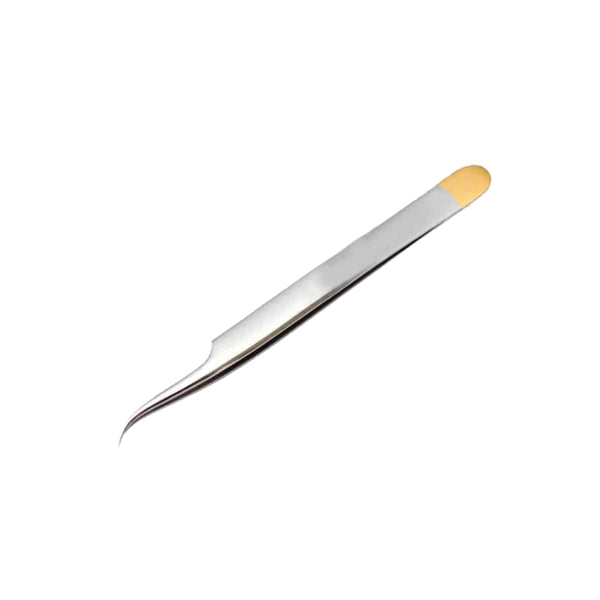 Extracting Forceps Curved