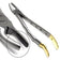 products/extracting-forceps-instruments-dental-surgical-instrument.jpg