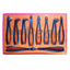 Extracting Forceps Set
