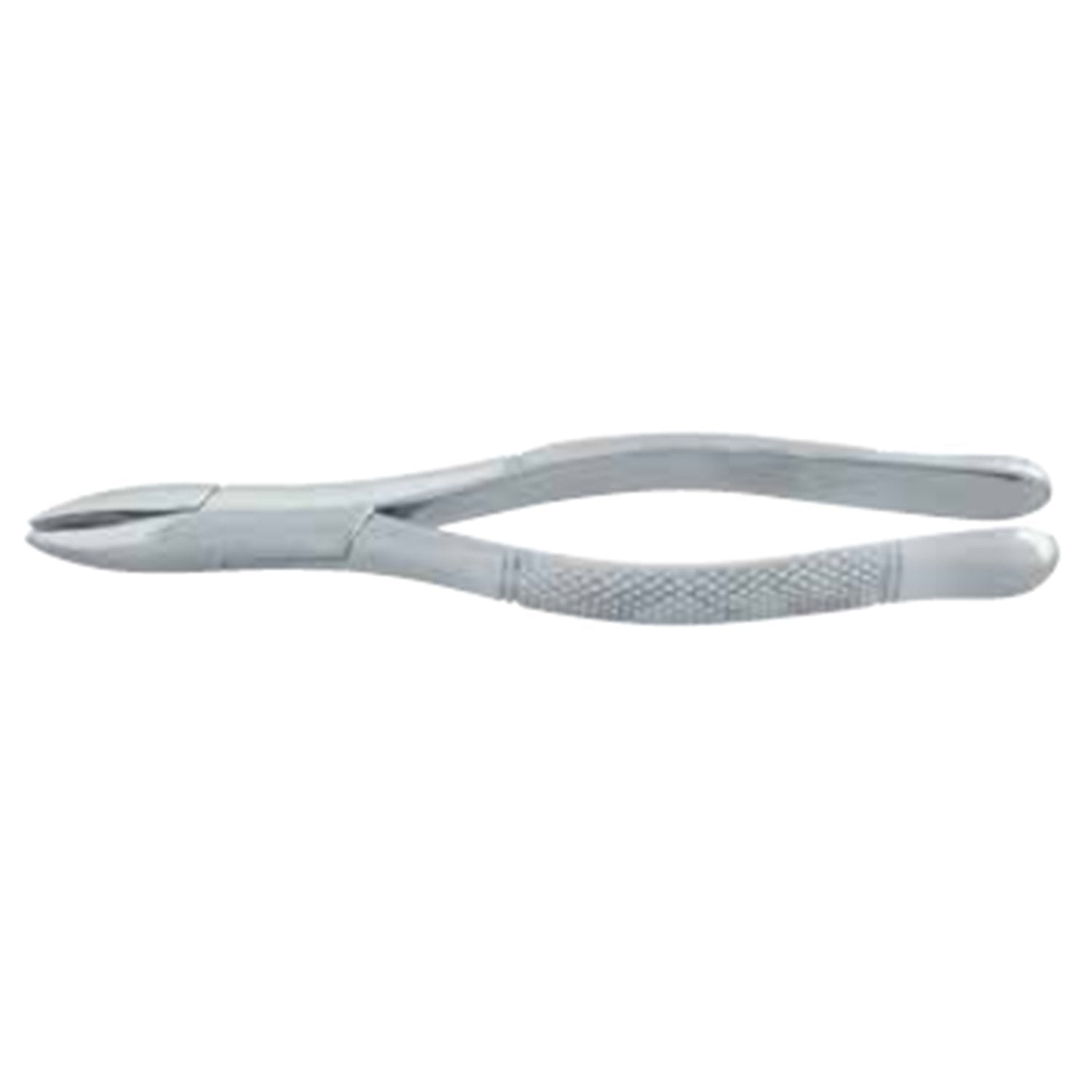 Premolar Forceps Fő kép