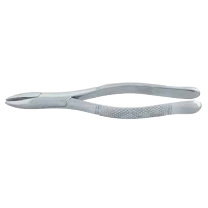 Premolar Forceps
