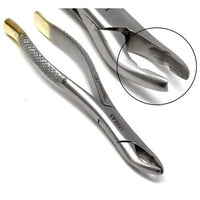 Gold Handle Clinic Extracting Forceps