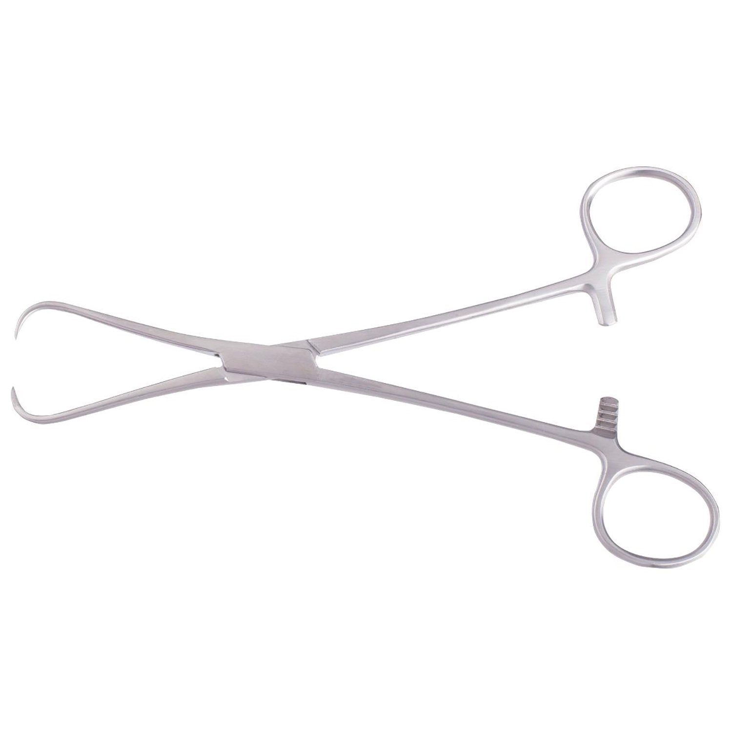 Ferguson Tenaculum Forceps Hoofdafbeelding