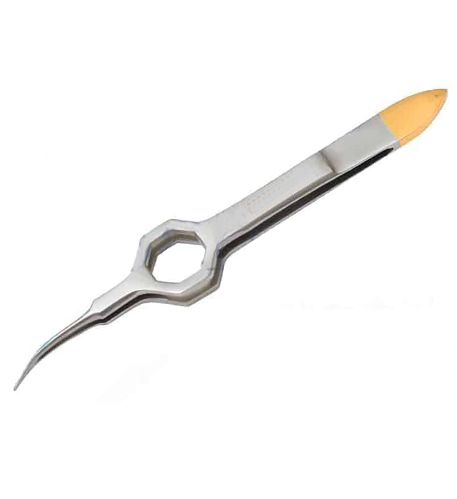 Foerster Extracting Forceps Gold Main image
