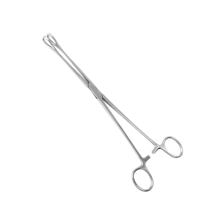 Foerster Sponge Forceps