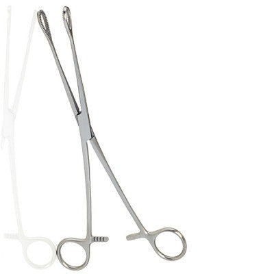 Foerster Sponge Forceps Straight