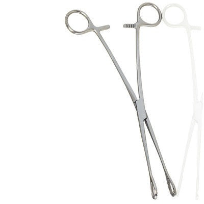 Foerster Sponge Forceps Straight