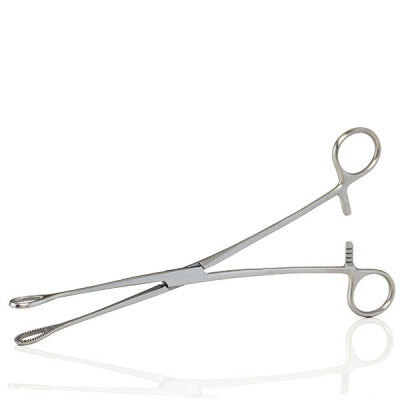 Foerster Sponge Forceps Straight