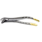 Gold Extracting Forceps Instrument