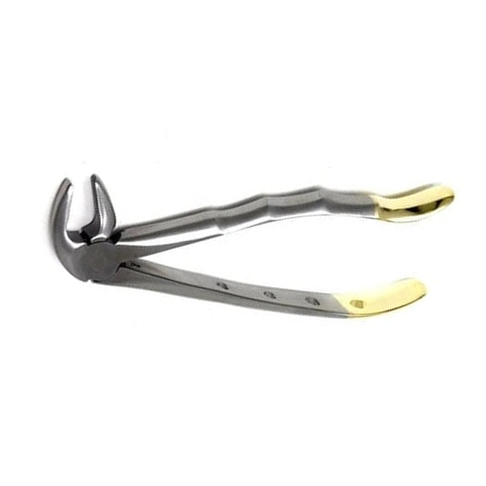Gold Handle Extracting Forceps