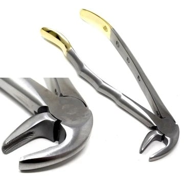 Gold Handle Extracting Forceps