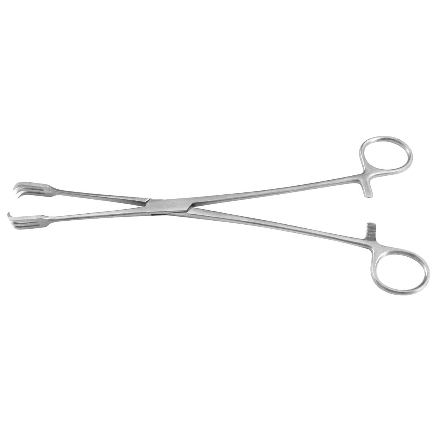 Gordon Uterine Vulsellum Forceps Imagen principal del producto