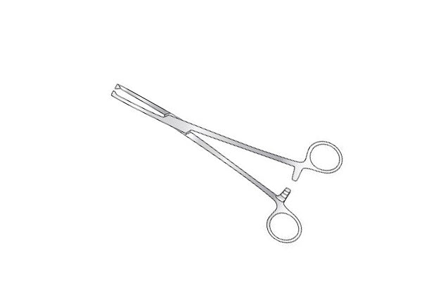 Pince d'hystérectomie Gwilliam 203 mm Image secondaire du produit