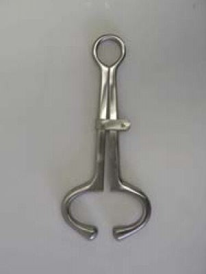 Harms bull lead stainless steel 10 inch livestock handling tool
