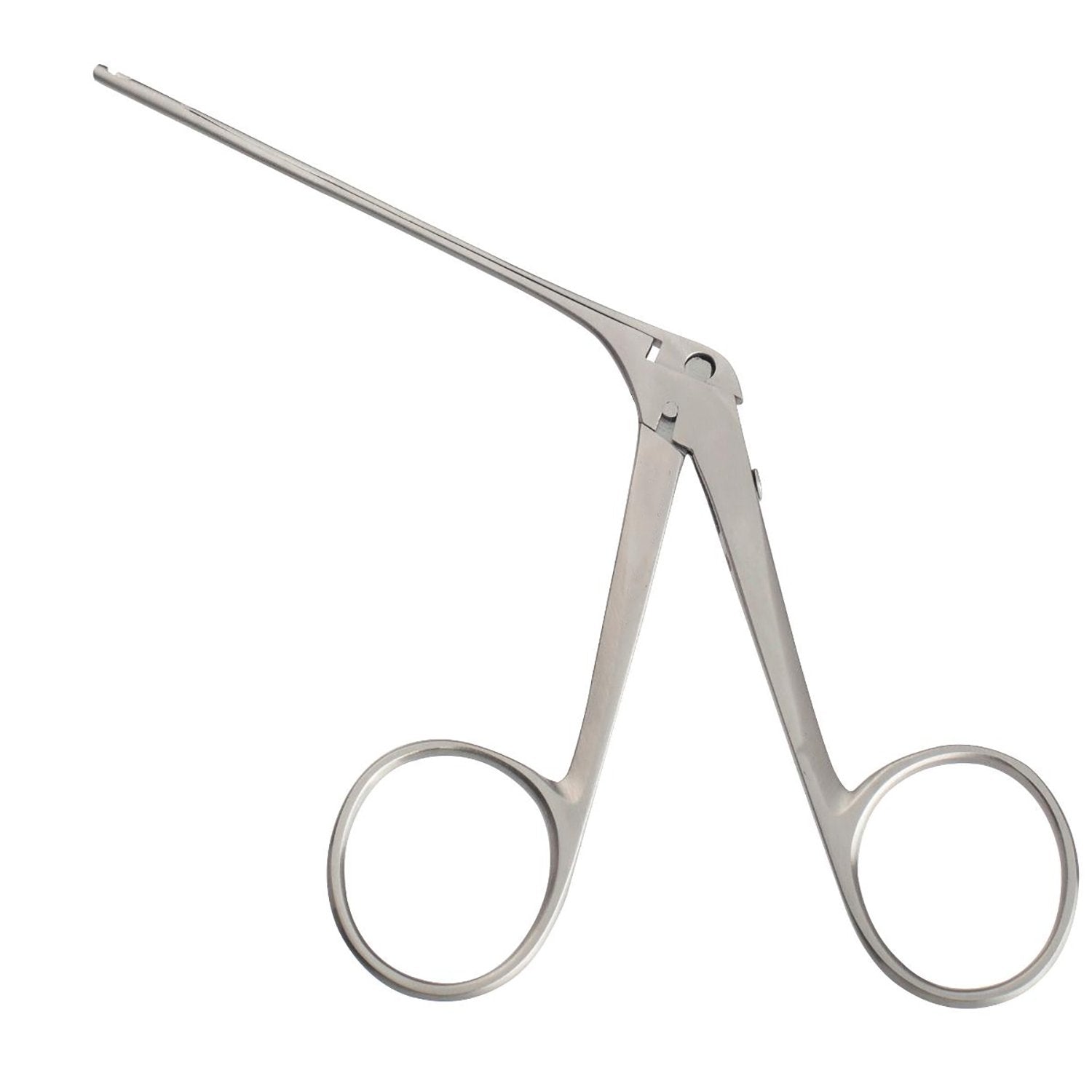 House-dieter Malleus Nipper Hoofdafbeelding