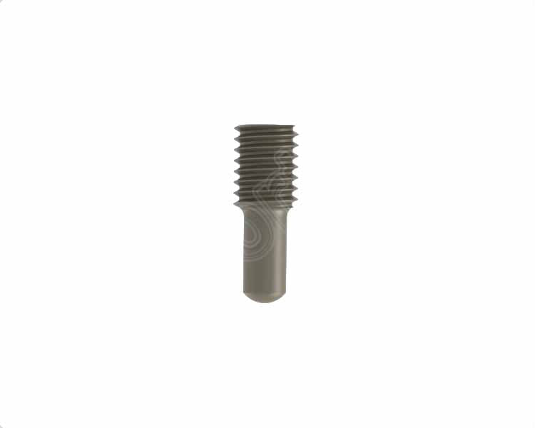Inner Screw For GAMM-A Nails Anti-Rotation Imagine principală a produsului