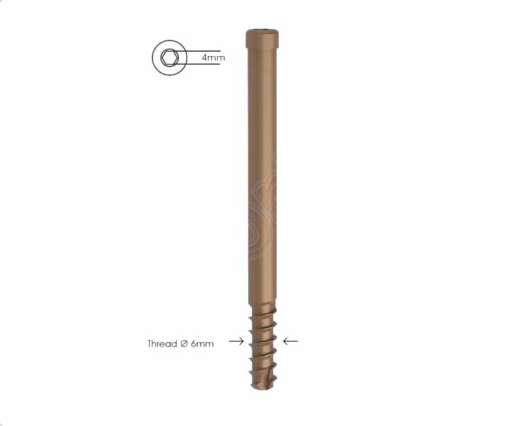 Locking Bolt Ø 6mm Cannulated (Self Tapping) For Multi-Fix Nails Main image