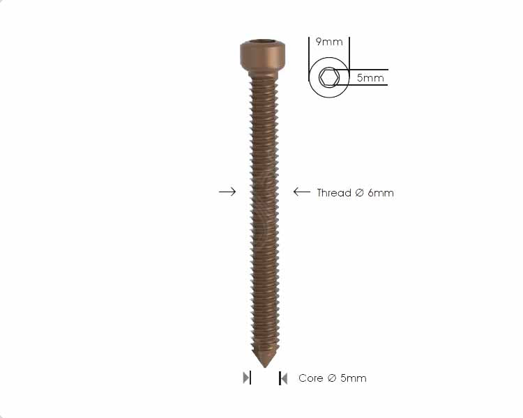 Locking Bolt Ø 6mm (Self Tapping) Main image