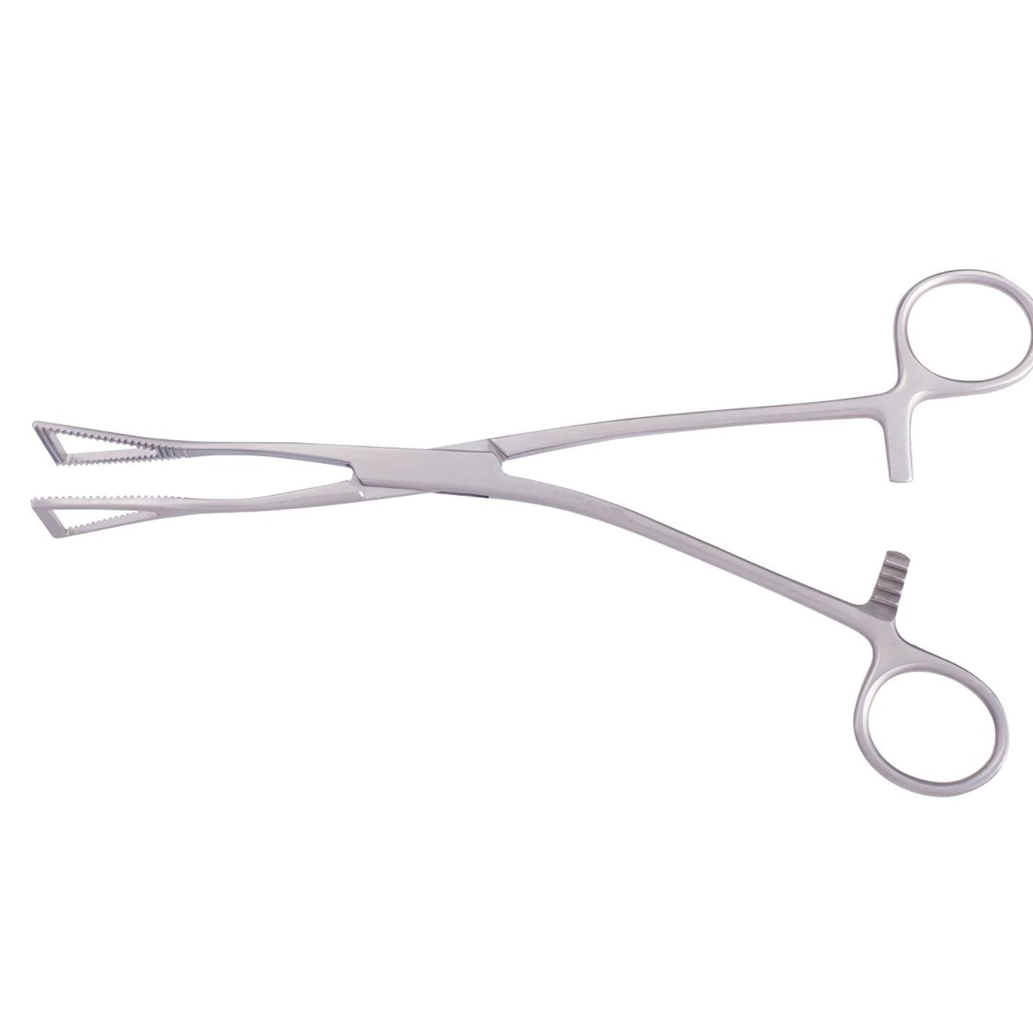 Lovelace Lung Forceps Hoofdafbeelding