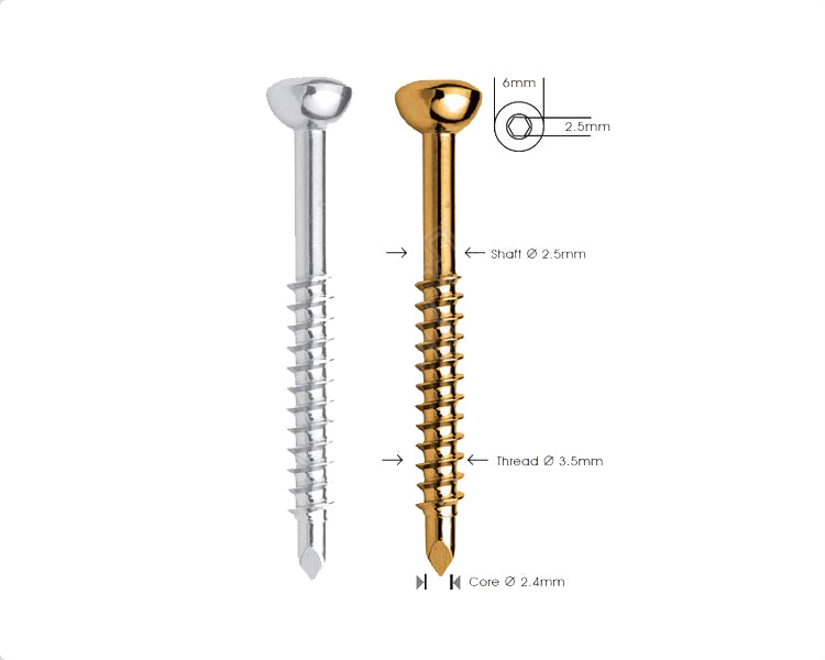 Malleolar Screw Ø 3.5mm Hlavní obrázek produktu