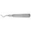 Molt Bone Curette