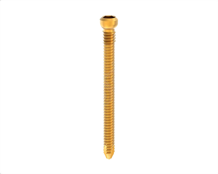 Nexgen Locking Screw, ∅4.5mm