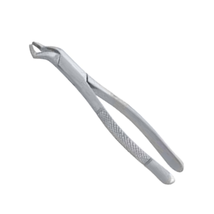 Orthodontic Extracting Forceps