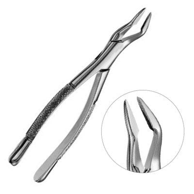 Parmly Forceps No 32A