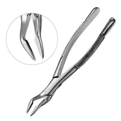 Parmly Forceps No 32A