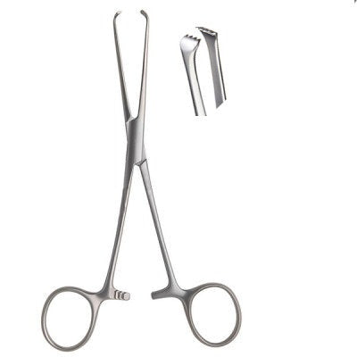 Pedifine Allis Tissue Forceps 4x5 Teeth for Secure Tissue Grasping Secondary image