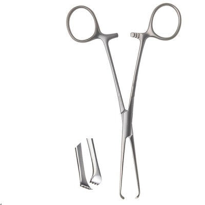 Pedifine Allis Tissue Forceps