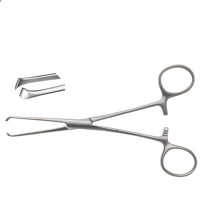 Pedifine Allis Tissue Forceps