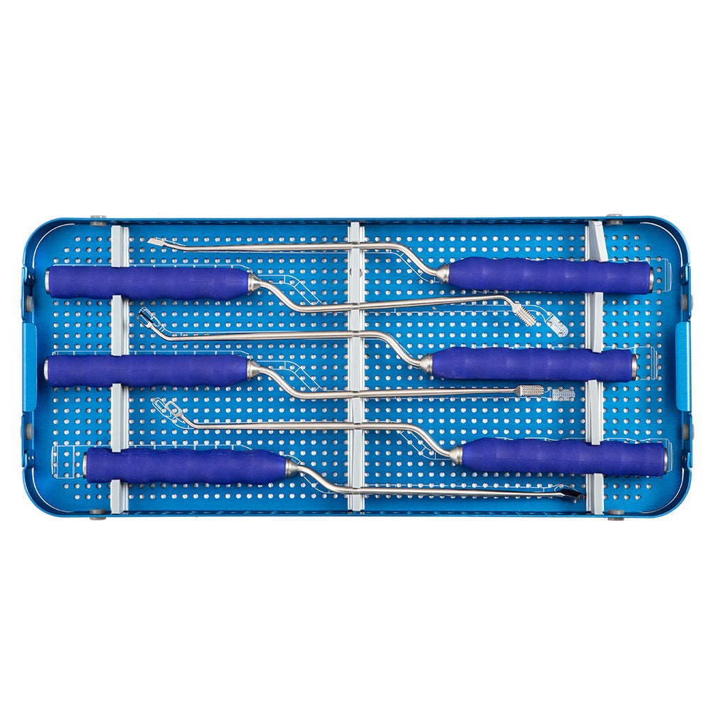 PEEK T-PAL Spacer Spinal Fixation Set