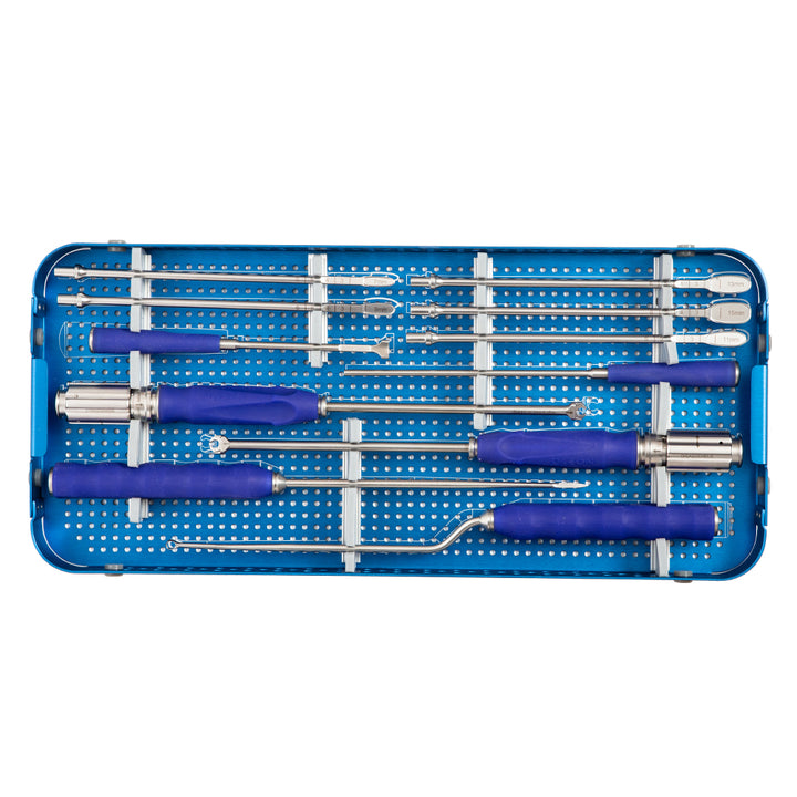 PEEK T-PAL Spacer Spinal Fixation Set