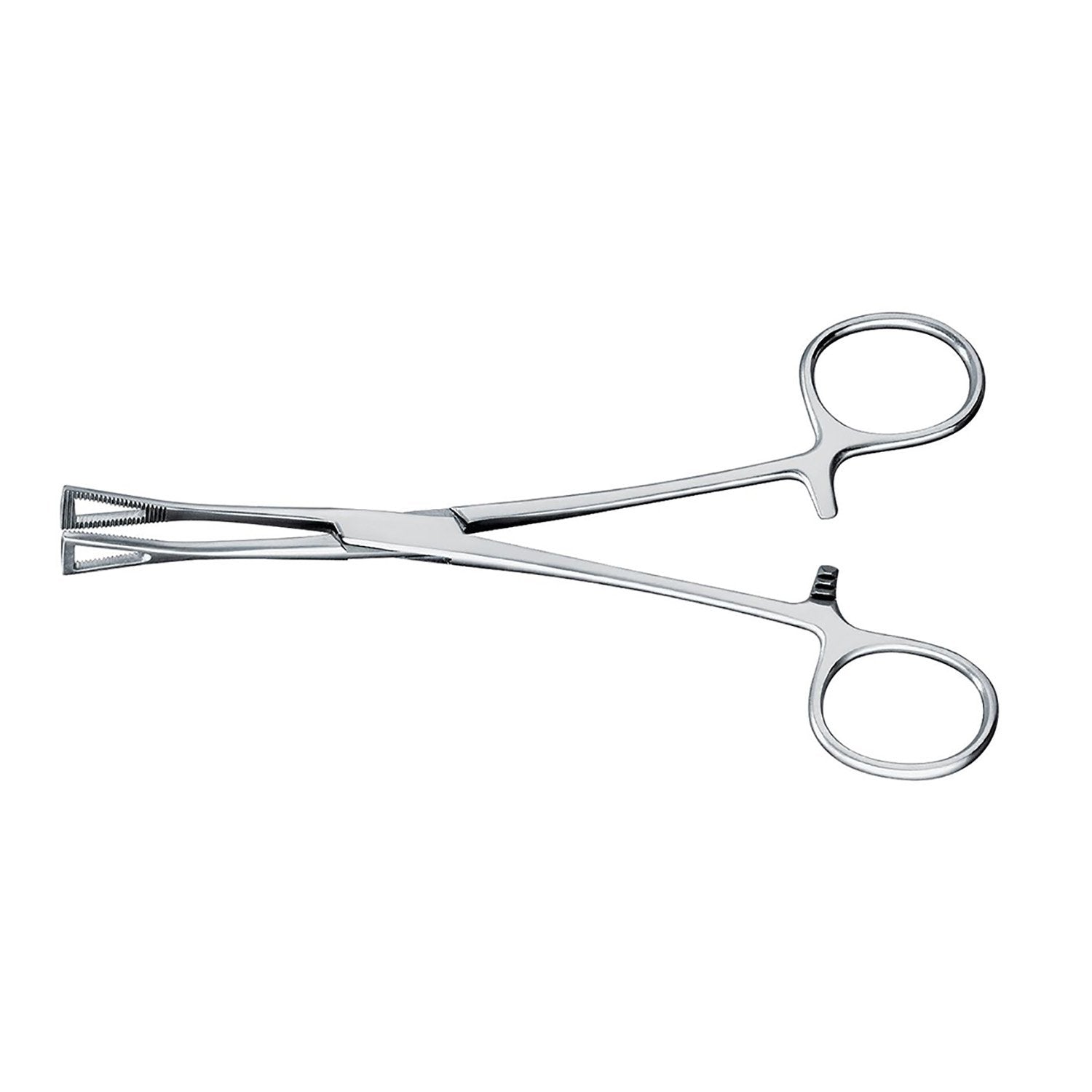 Pennington Tissue Holding Forceps Hlavní obrázek produktu