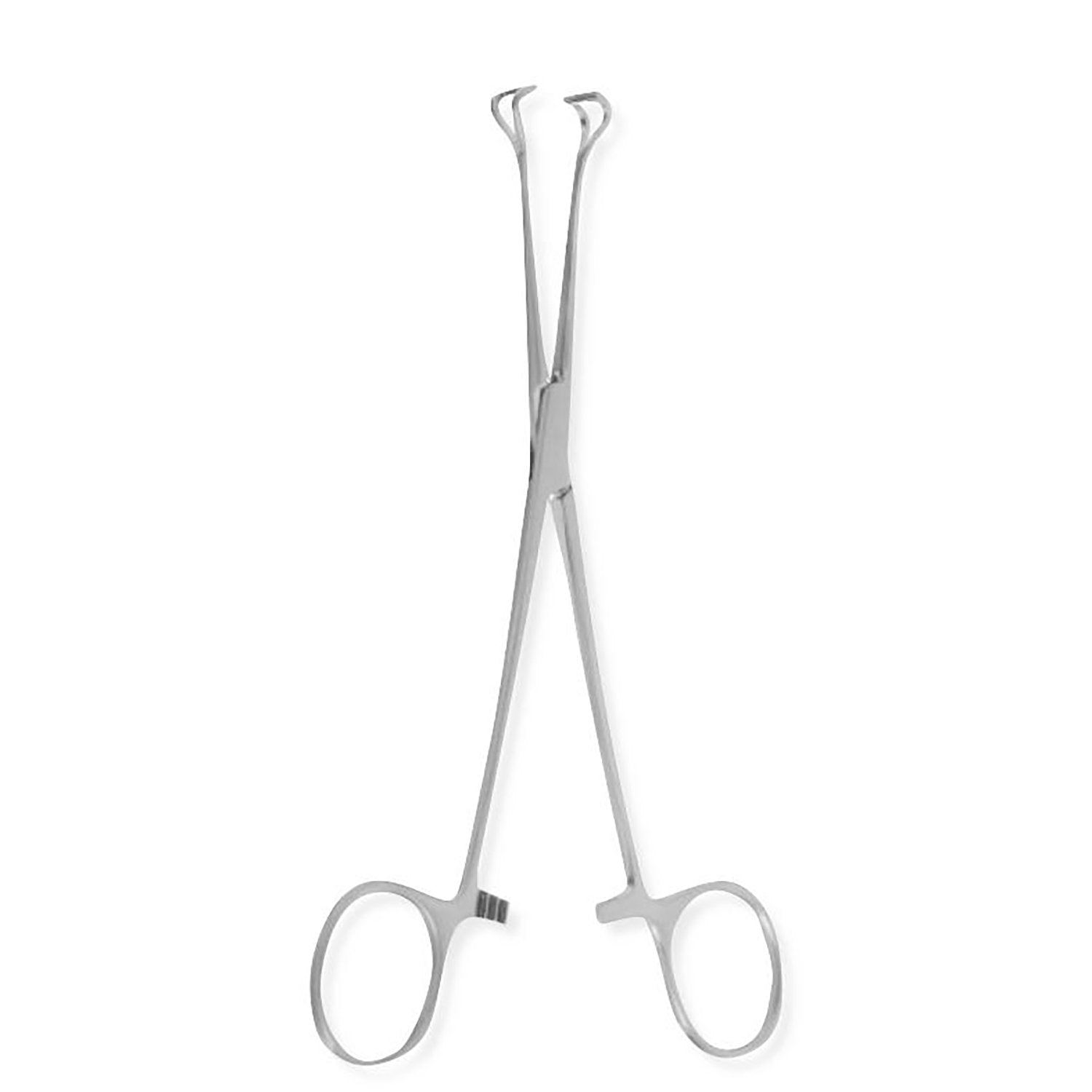 Petit Babcock Tissue Forceps Hoofdafbeelding