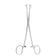 products/petit-babcock-tissue-forceps-stainless-steel-surgical-instrument.jpg