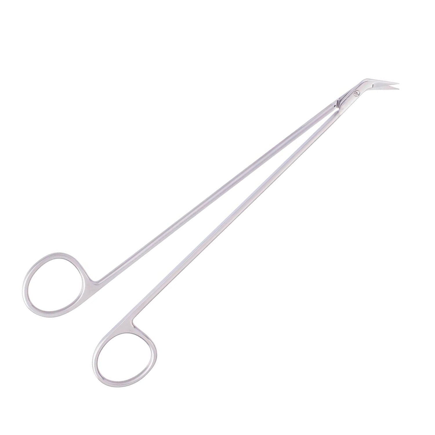 Potts Smith Scissors Multiple Sizes Main image